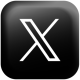 X Icon